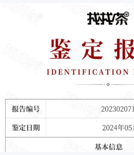 07.生成质检报告